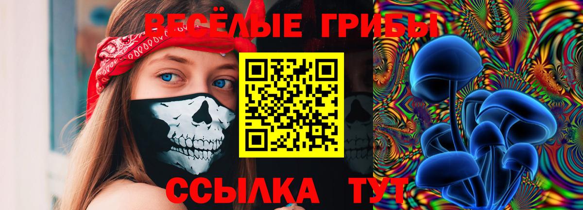 Псилоцибиновые грибы Psilocybine cubensis Подольск